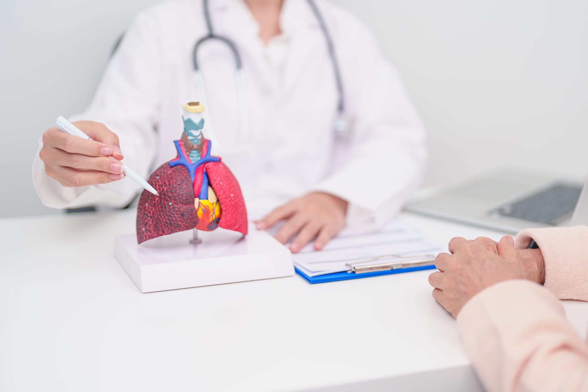A Comprehensive Guide to Respiratory Health